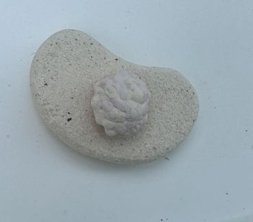 Caviar Porcelain Ring