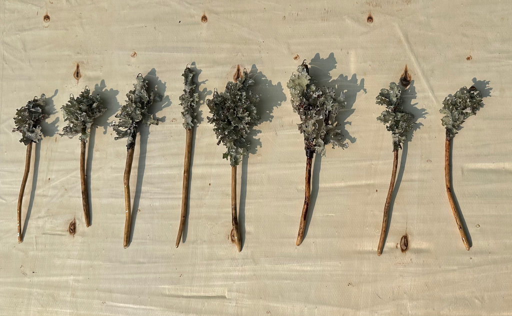 Lichen Hair Stick