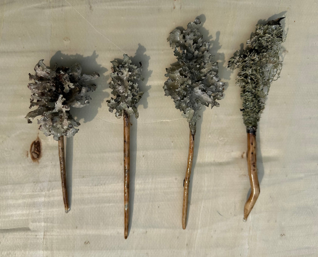Lichen Hair Stick