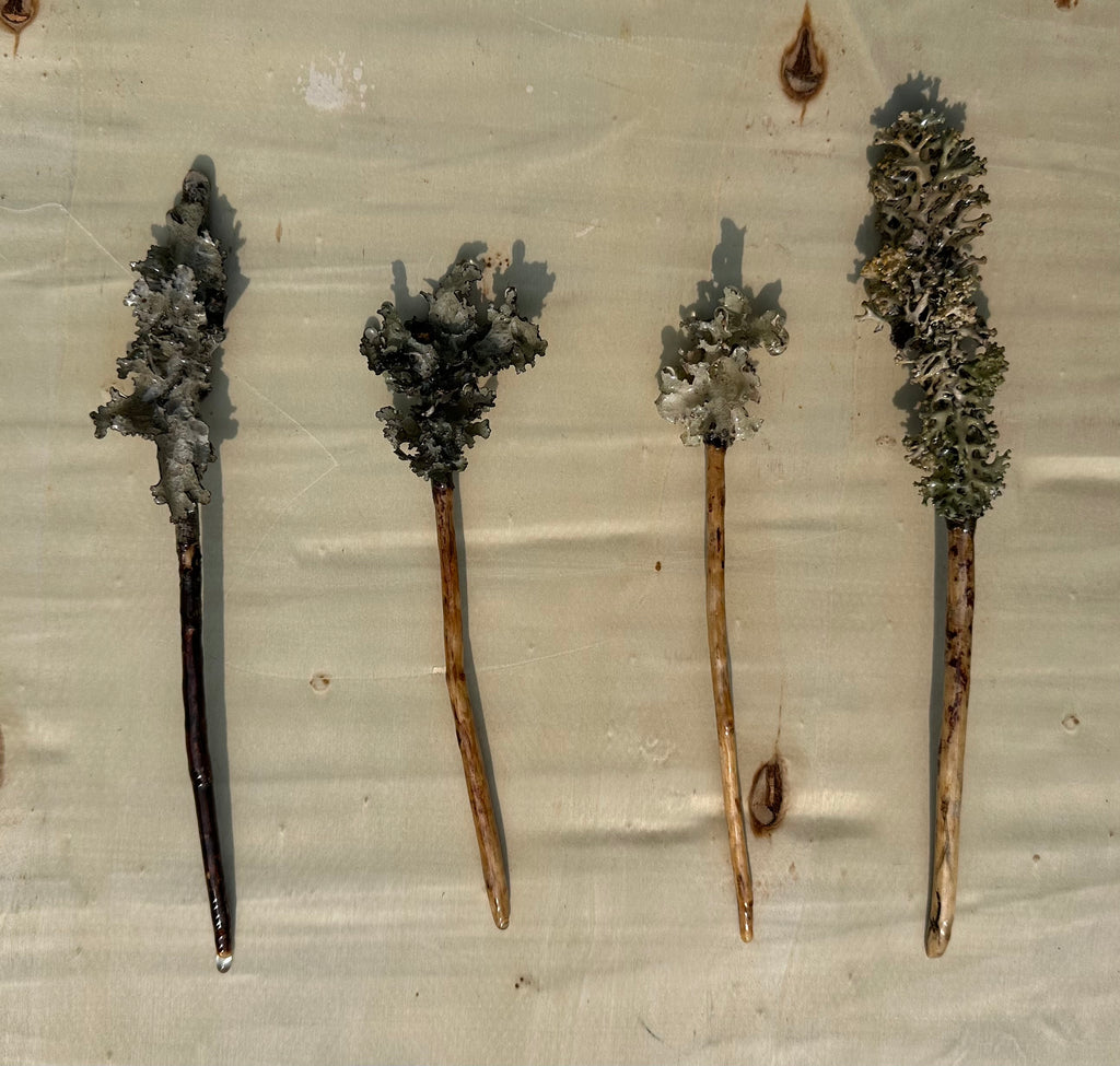 Lichen Hair Stick