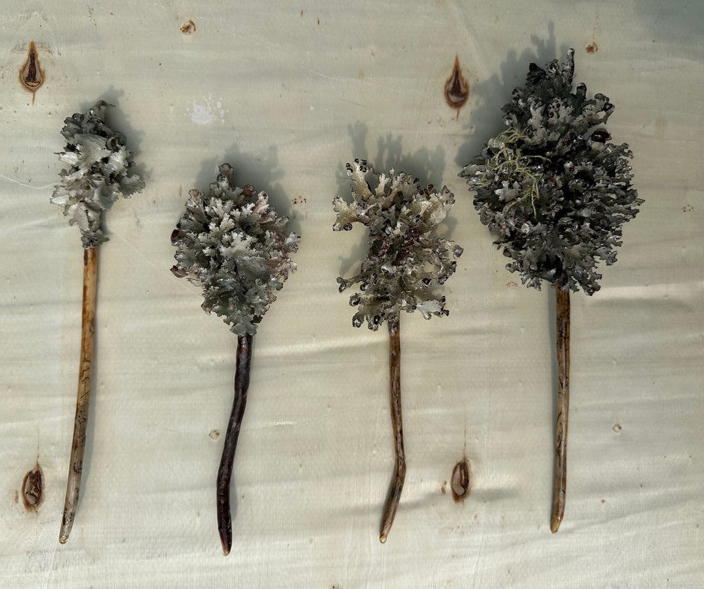 Lichen Hair Stick
